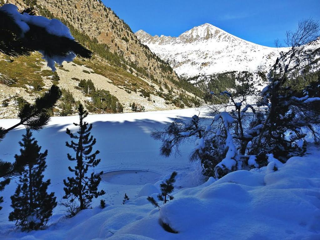 Sisquet Apartaments Eril la Vall Dış mekan fotoğraf